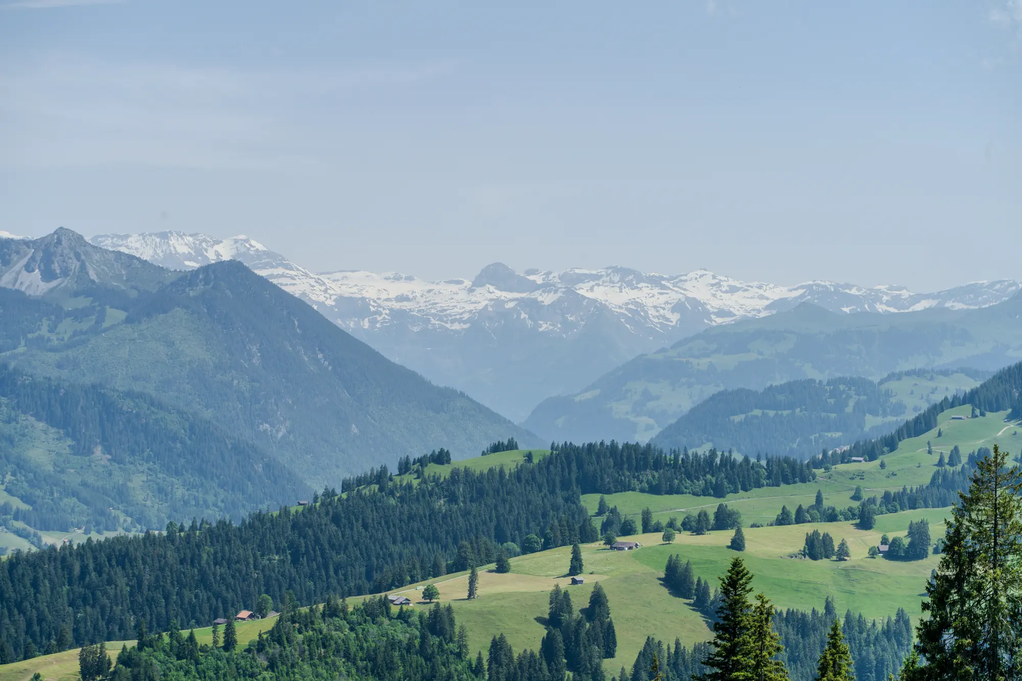Landscape 5